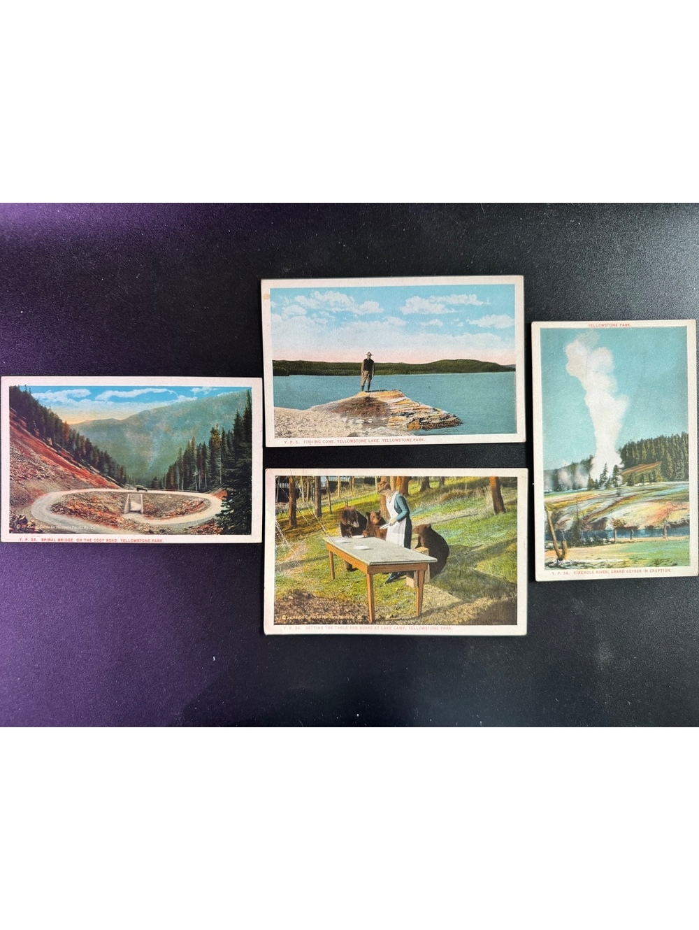 Vintage Yellowstone Park Postcard Set of 4 - Scenic and Wildlife Views